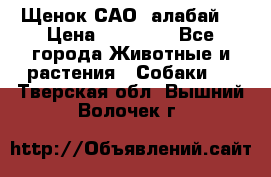 Щенок САО (алабай) › Цена ­ 10 000 - Все города Животные и растения » Собаки   . Тверская обл.,Вышний Волочек г.